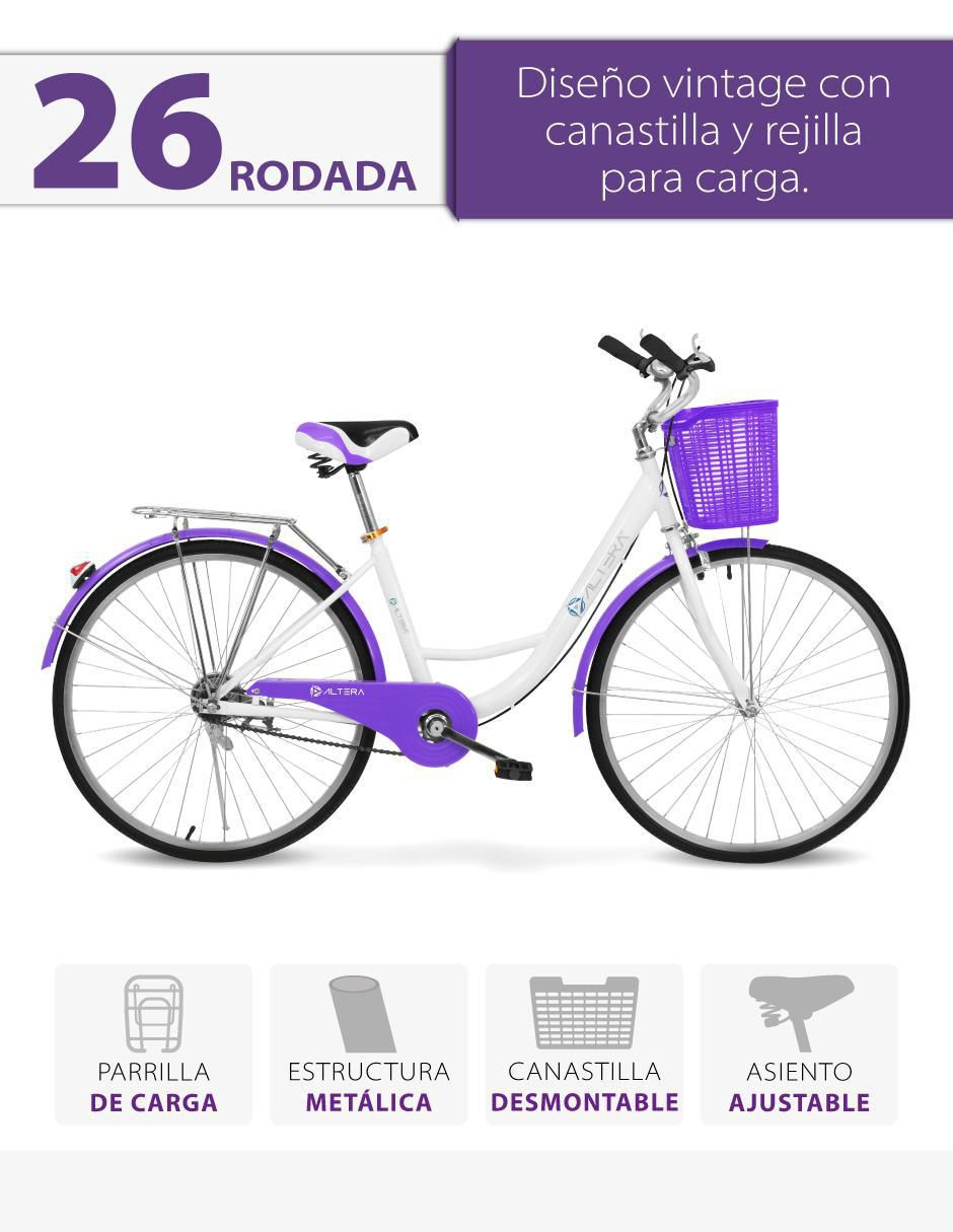 Altera rbike-002