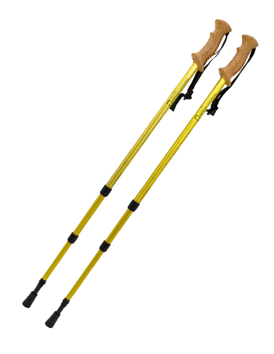 Bastón para caminata btng-01 2