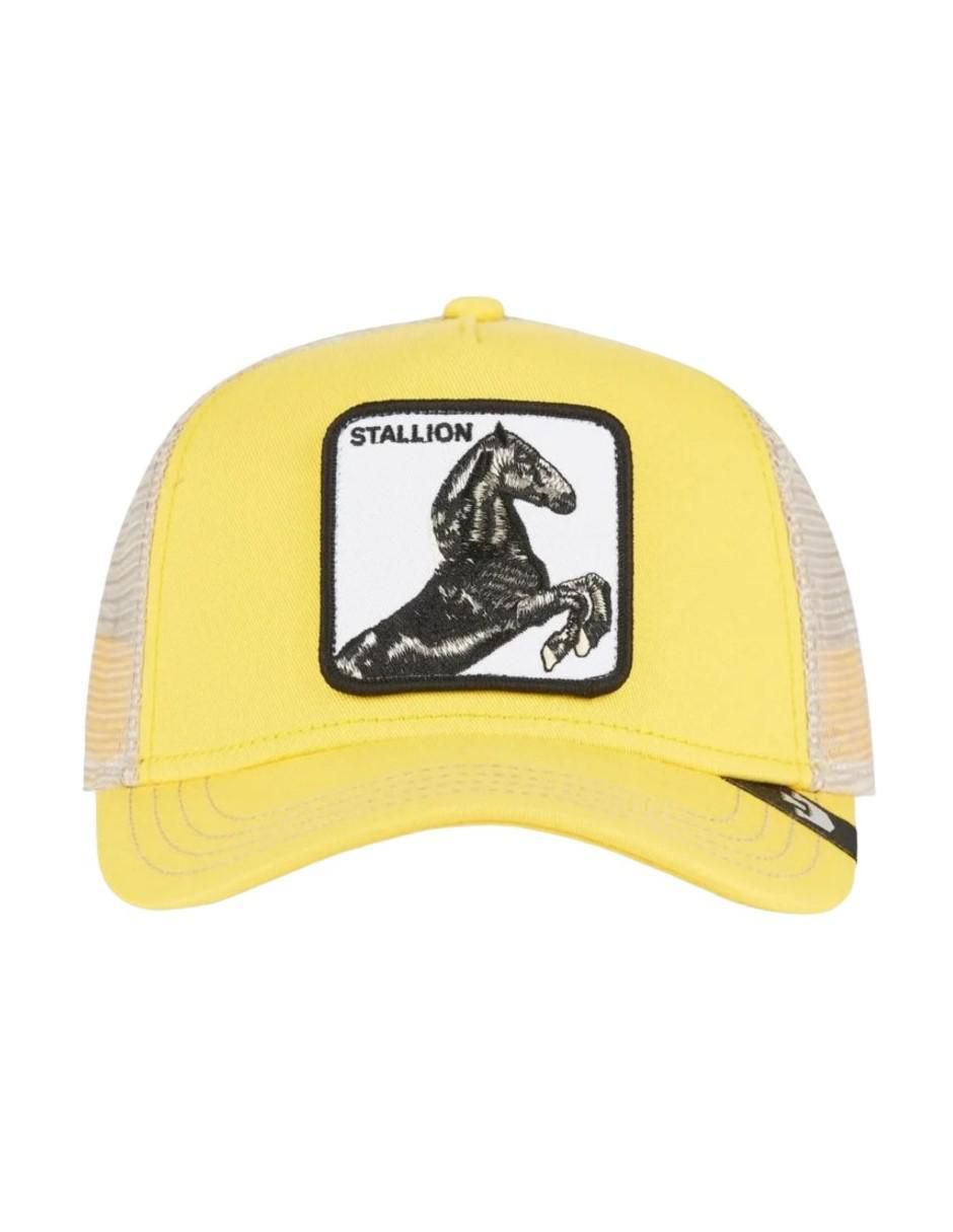Gorra con visera curva unisex 1