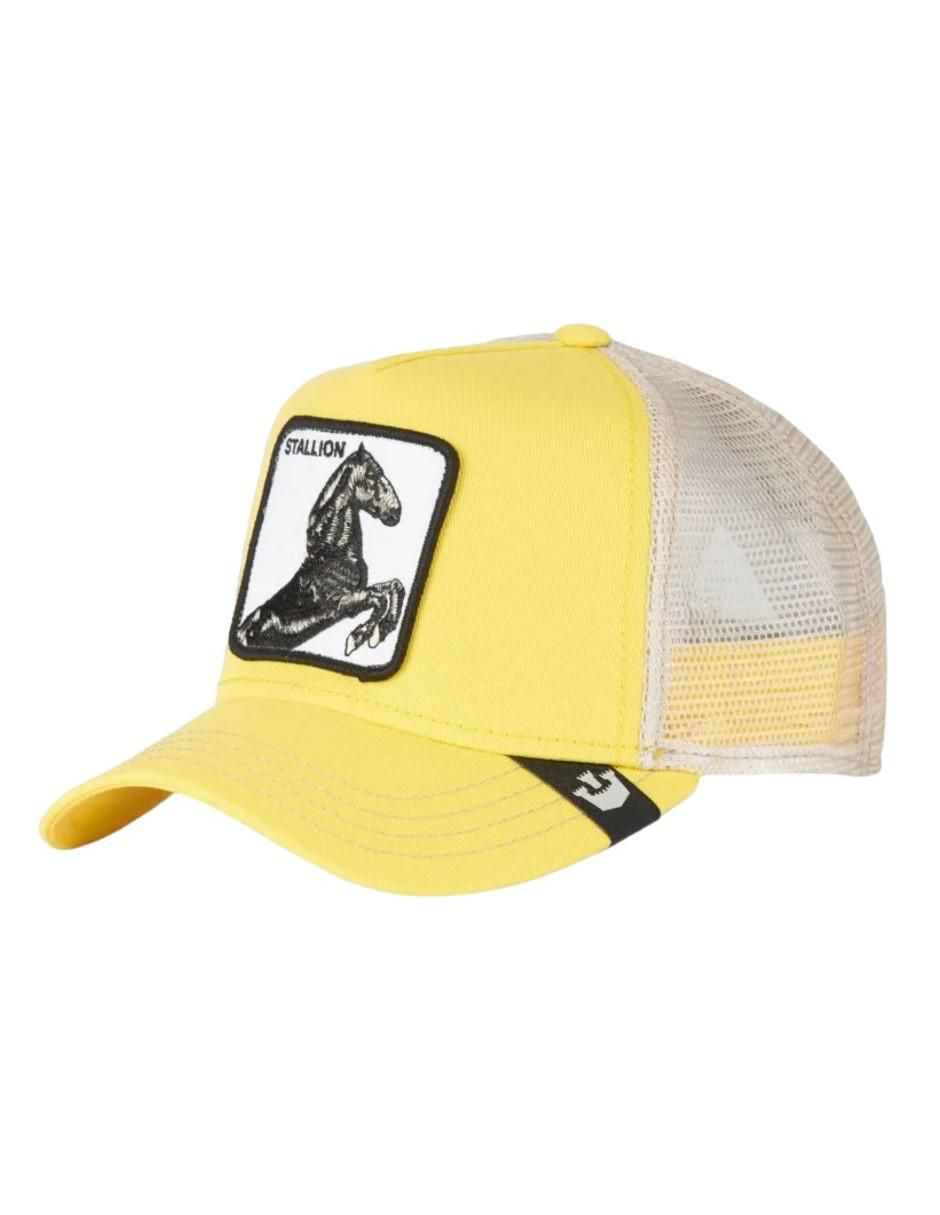 Gorra con visera curva unisex 4