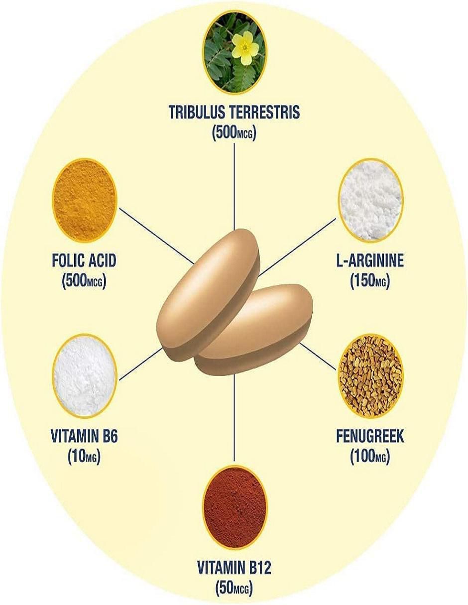 Testrol gold Gat con multivitamínico, vitamina d 23 y minerales sabor natural 2