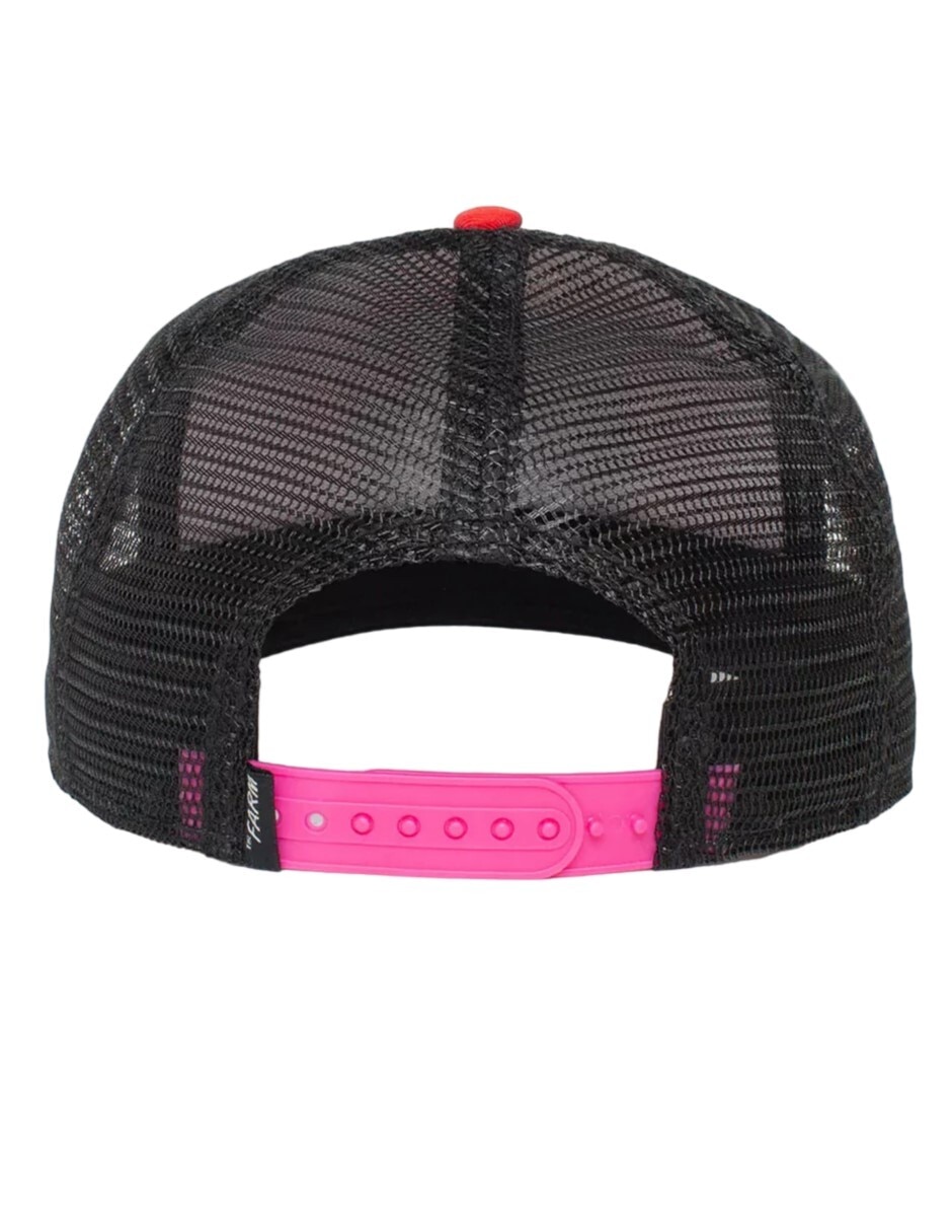 Gorra visera semicurva elástico Salomon Equipe unisex adulto