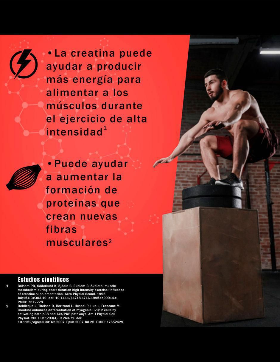 Creatina Monohidratada NSN Creatina Pura de 450 g 3