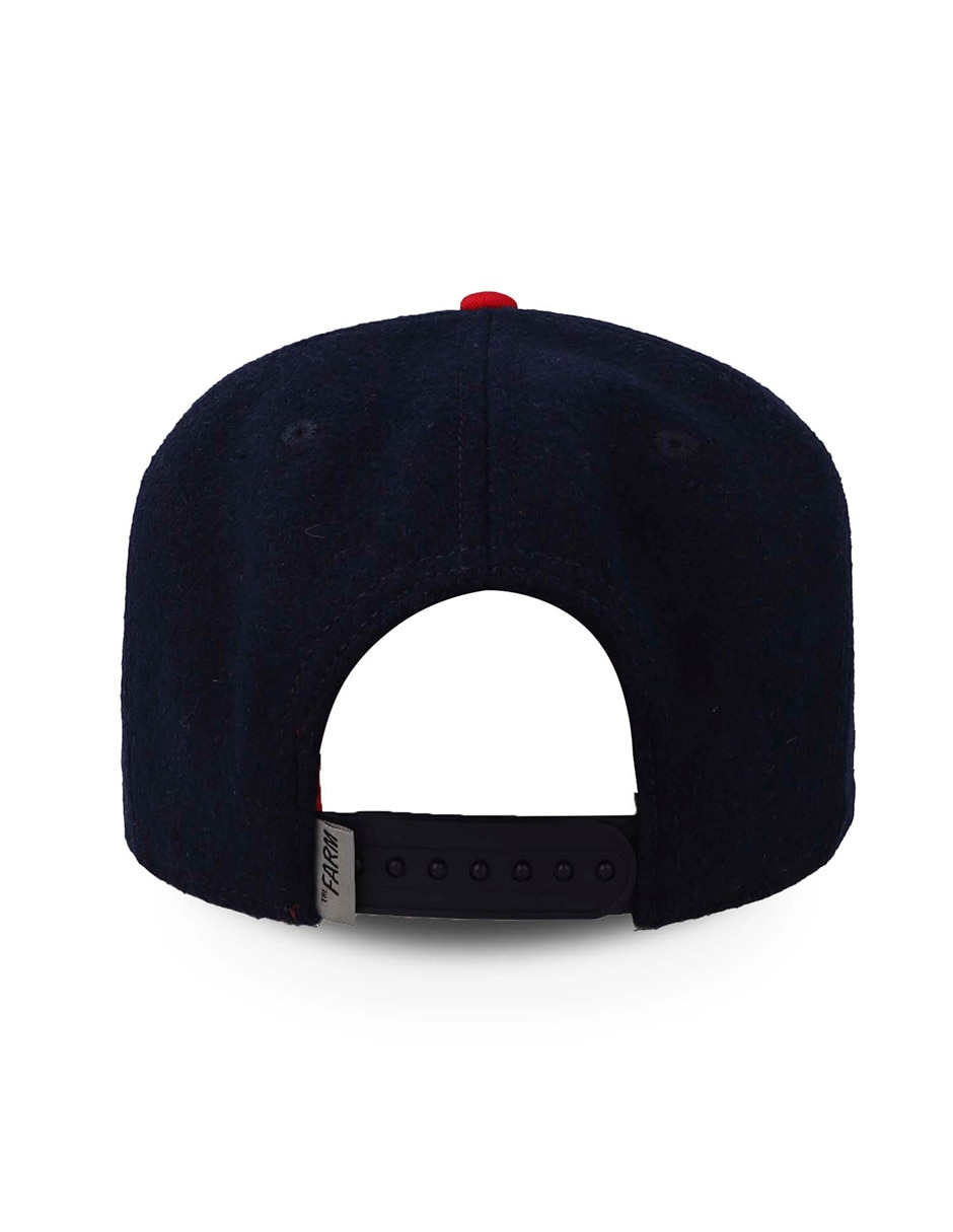 Gorra visera curva snapback TheFarm para hombre 4