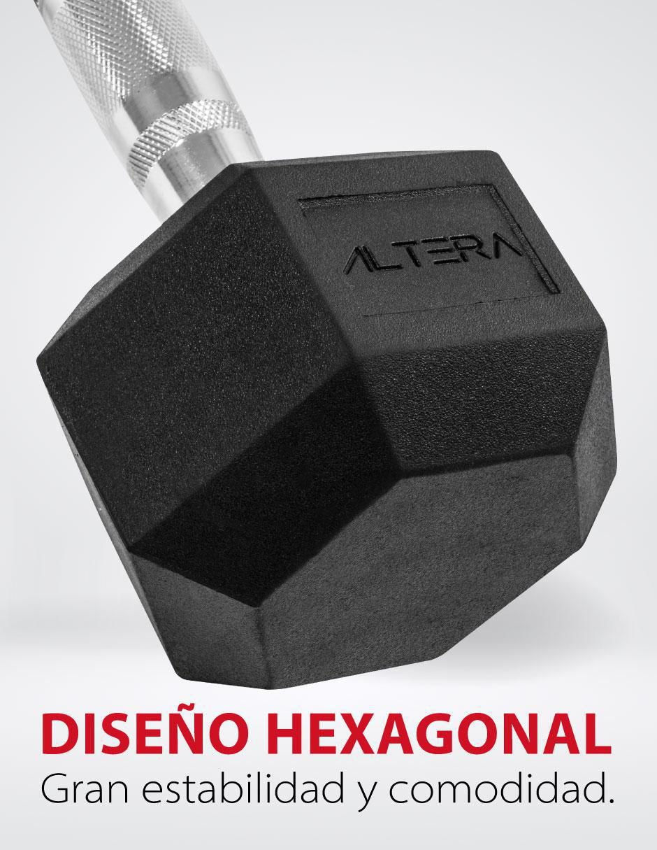 Mancuerna de peso fijo 22.6 kg 2
