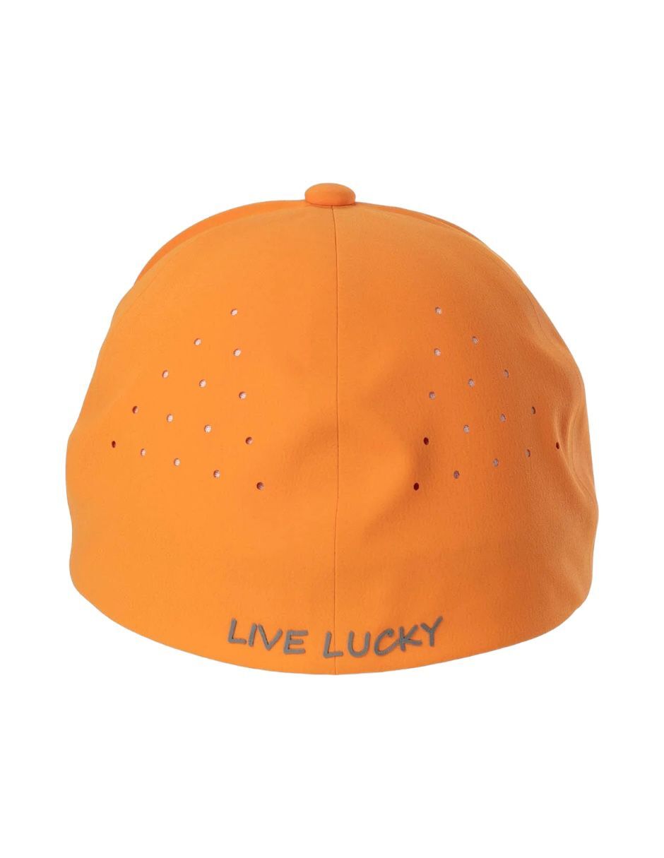 Gorra con visera semicurva cerrada para adulto 3