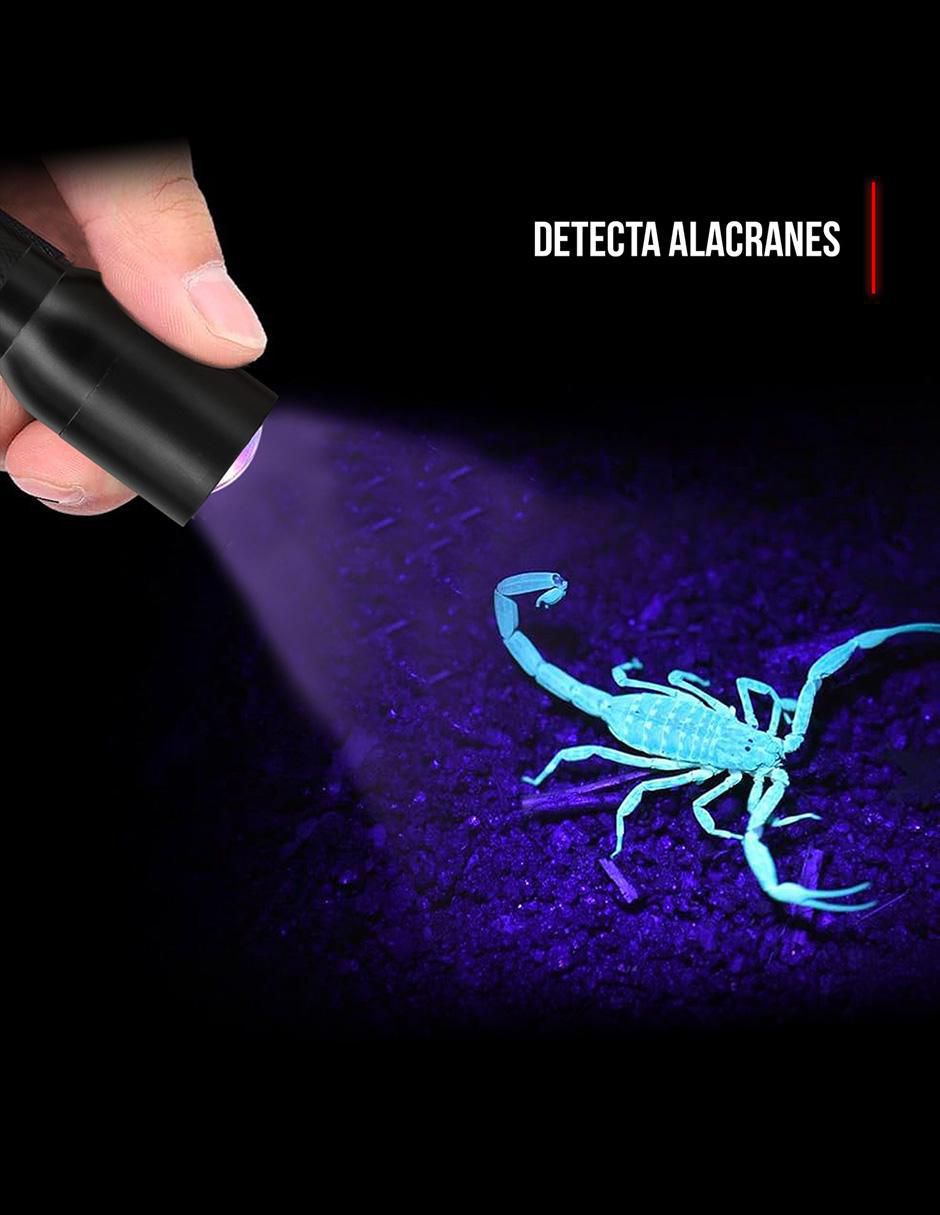 Linterna de bolsillo 21134 UV 3