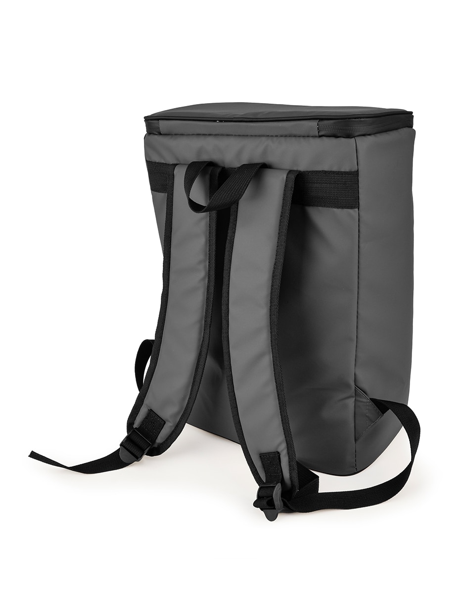 Hielera On The Go 2