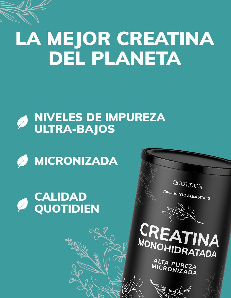 Creatina Monohidratada Micronizada de 450 g 3