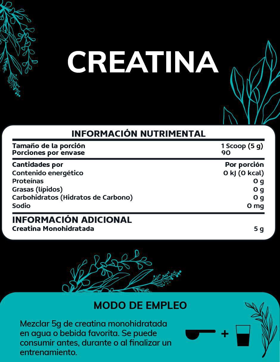 Creatina Monohidratada Micronizada de 450 g 6