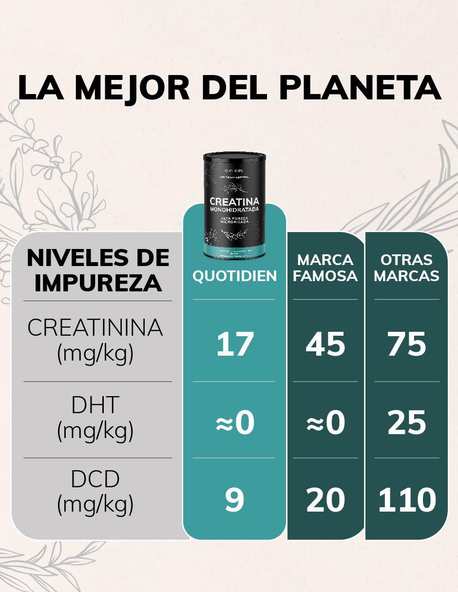 Creatina Monohidratada Micronizada de 450 g 8
