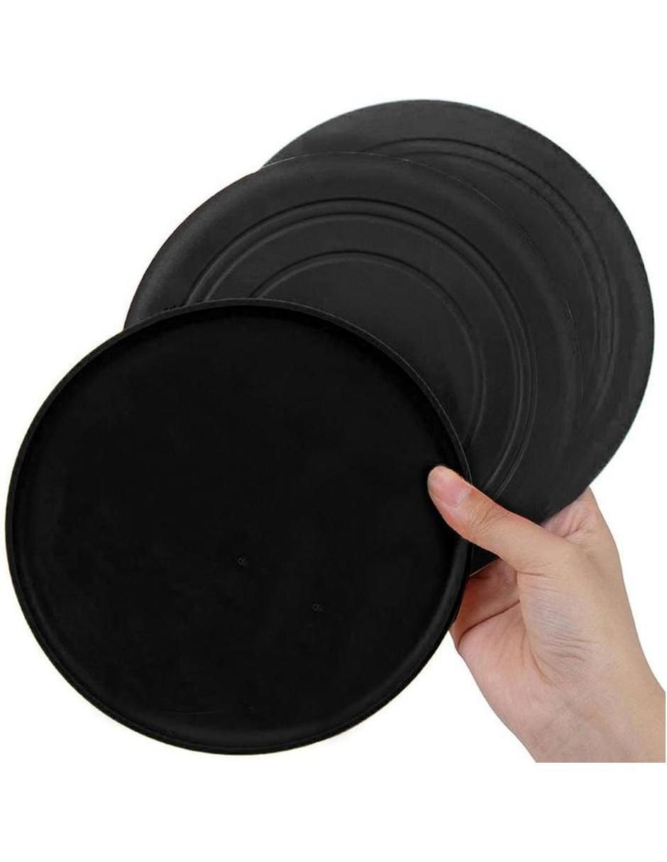 Frisbee adulto 2