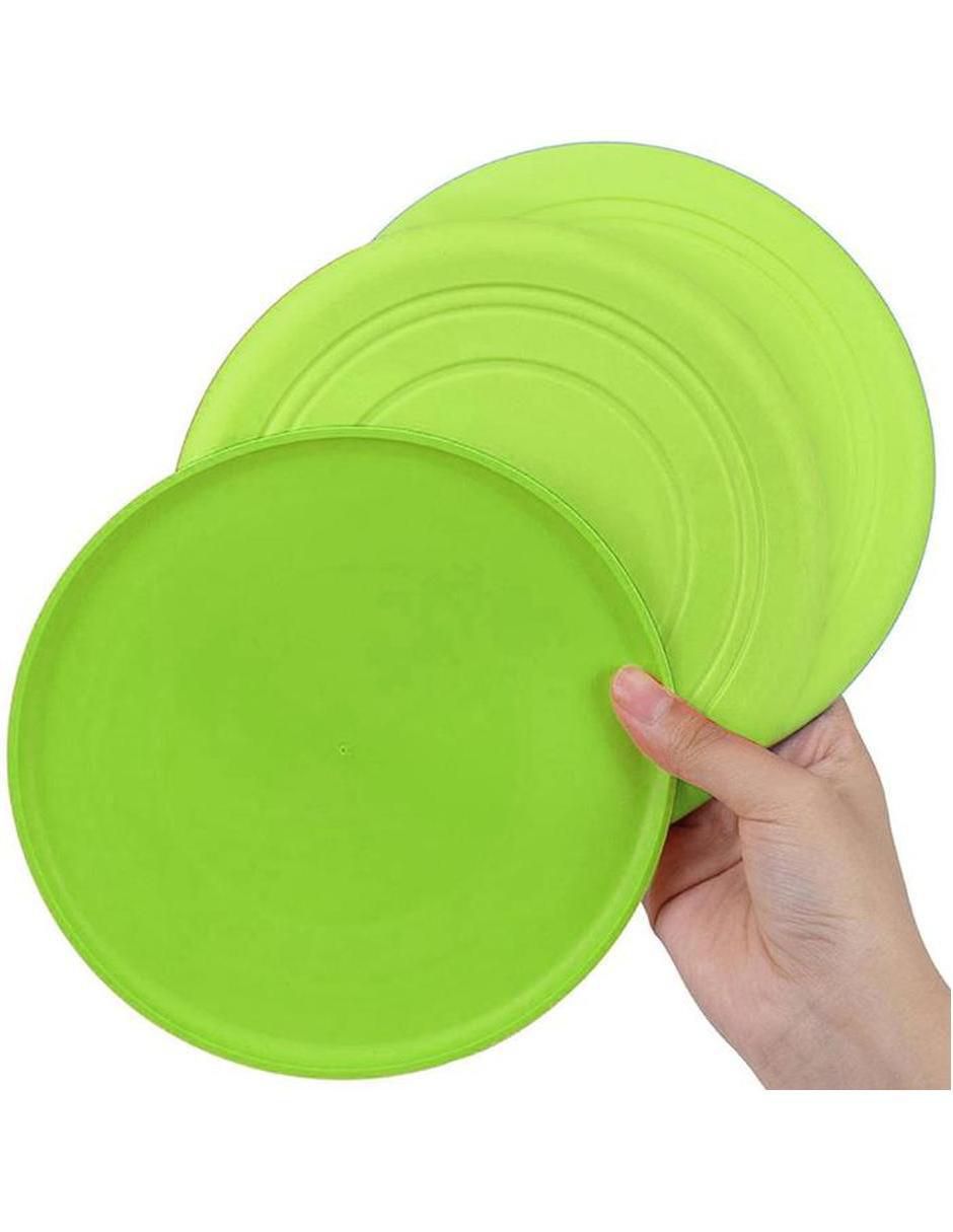 Frisbee adulto 2