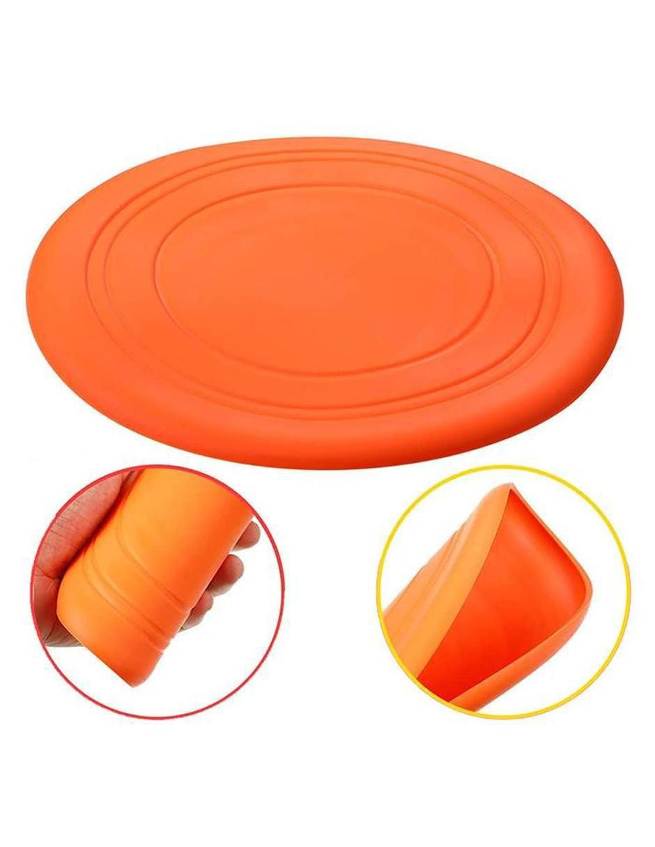 Frisbee adulto 2