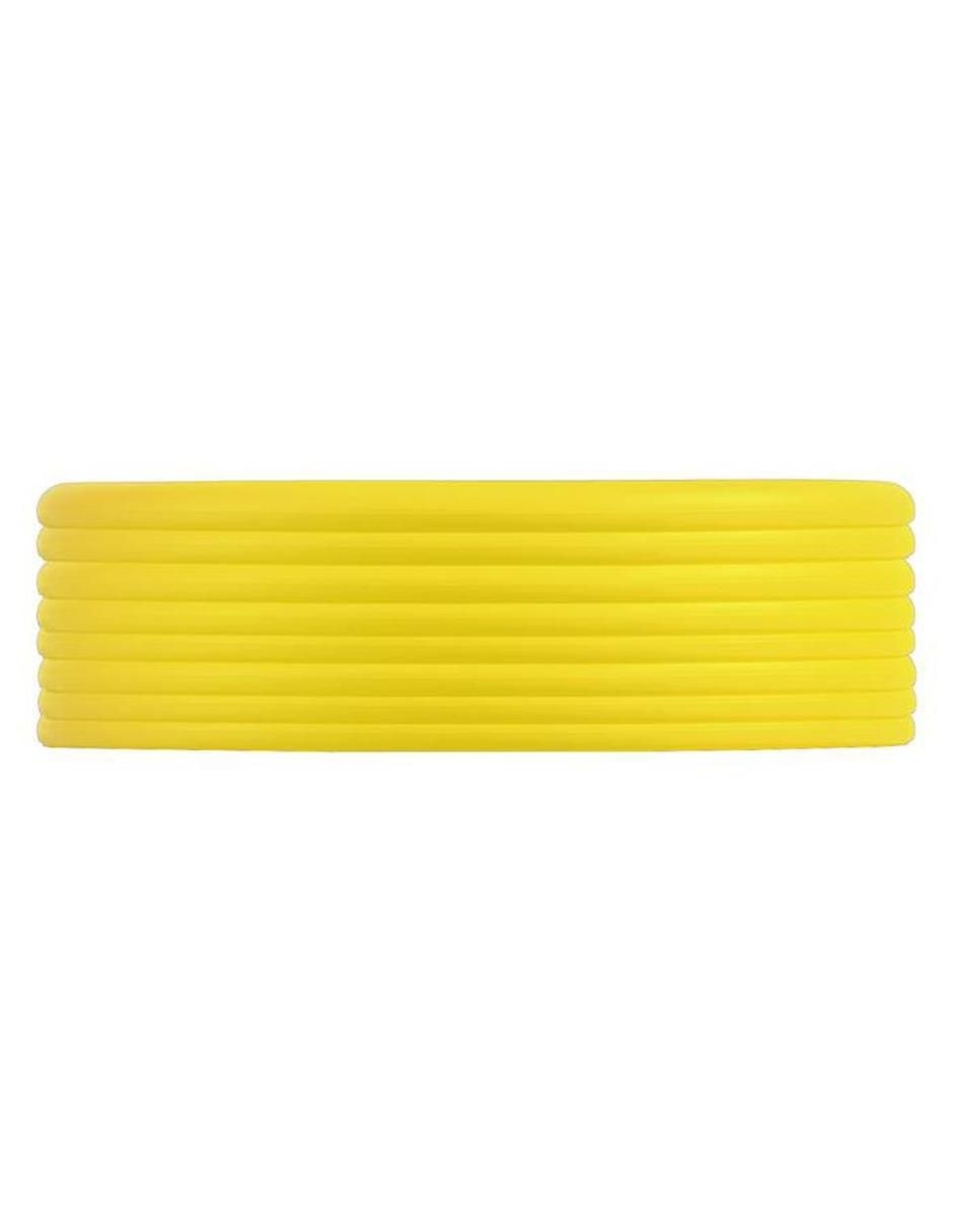 Frisbee adulto 2
