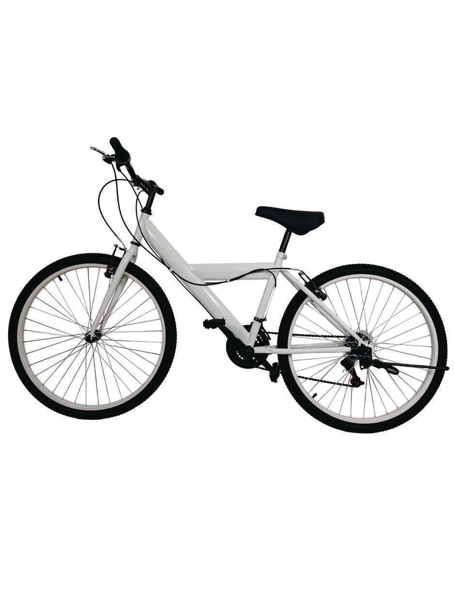 Bicicleta urbana rodada 26 custom para mujer
