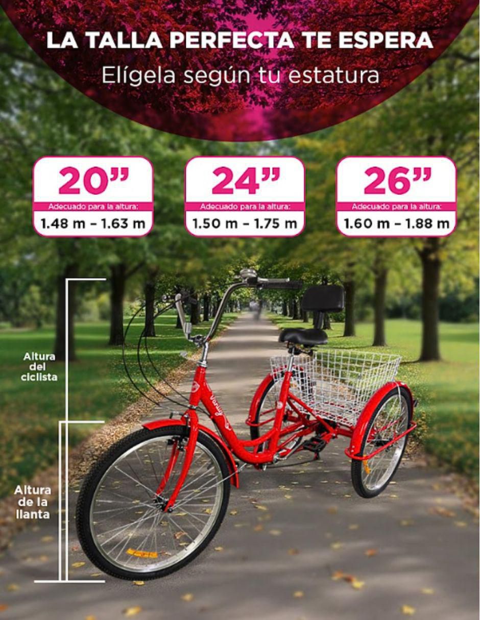 Tricicleta vanlig "rodada" 24 "sin familia o colección"