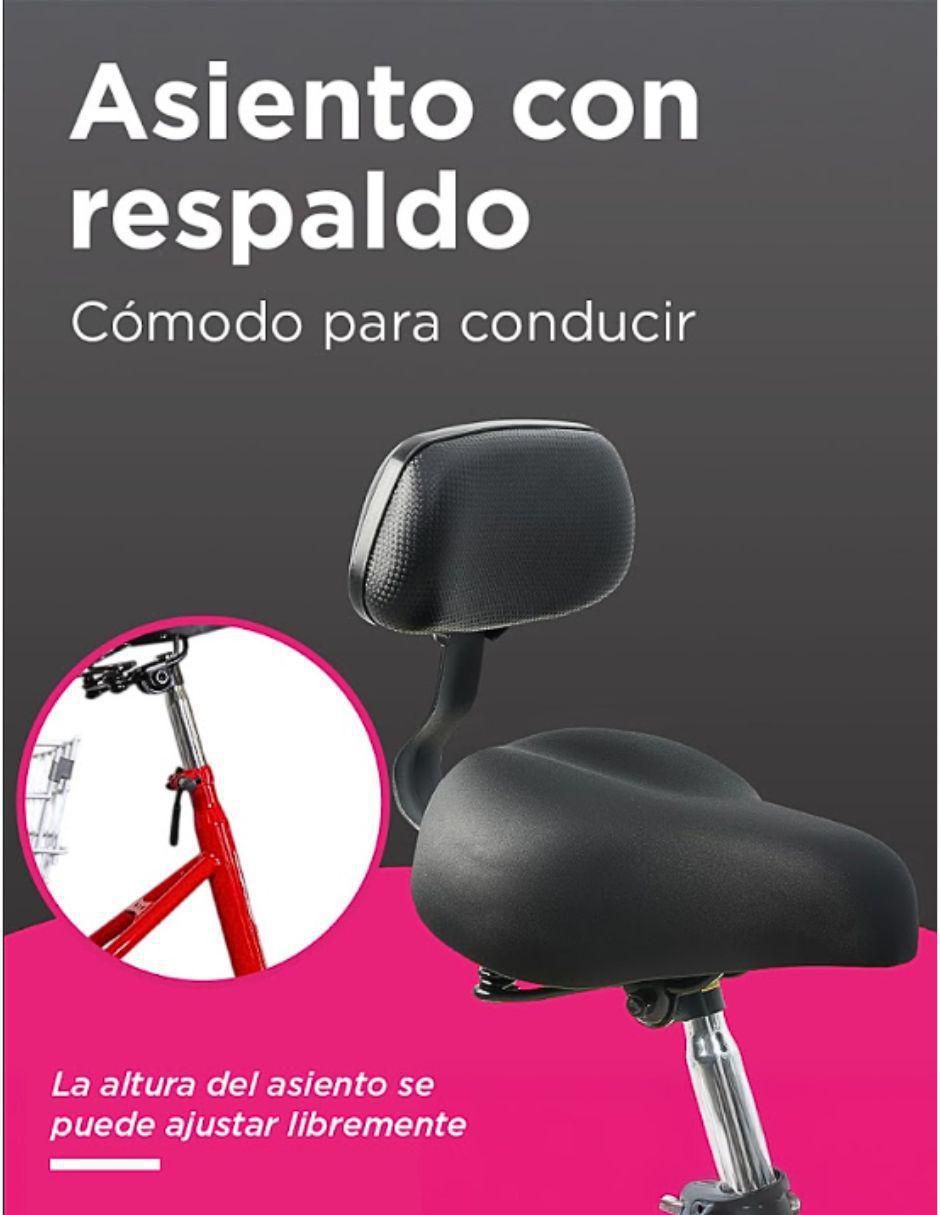Tricicleta vanlig "rodada" 24 "sin familia o colección"
