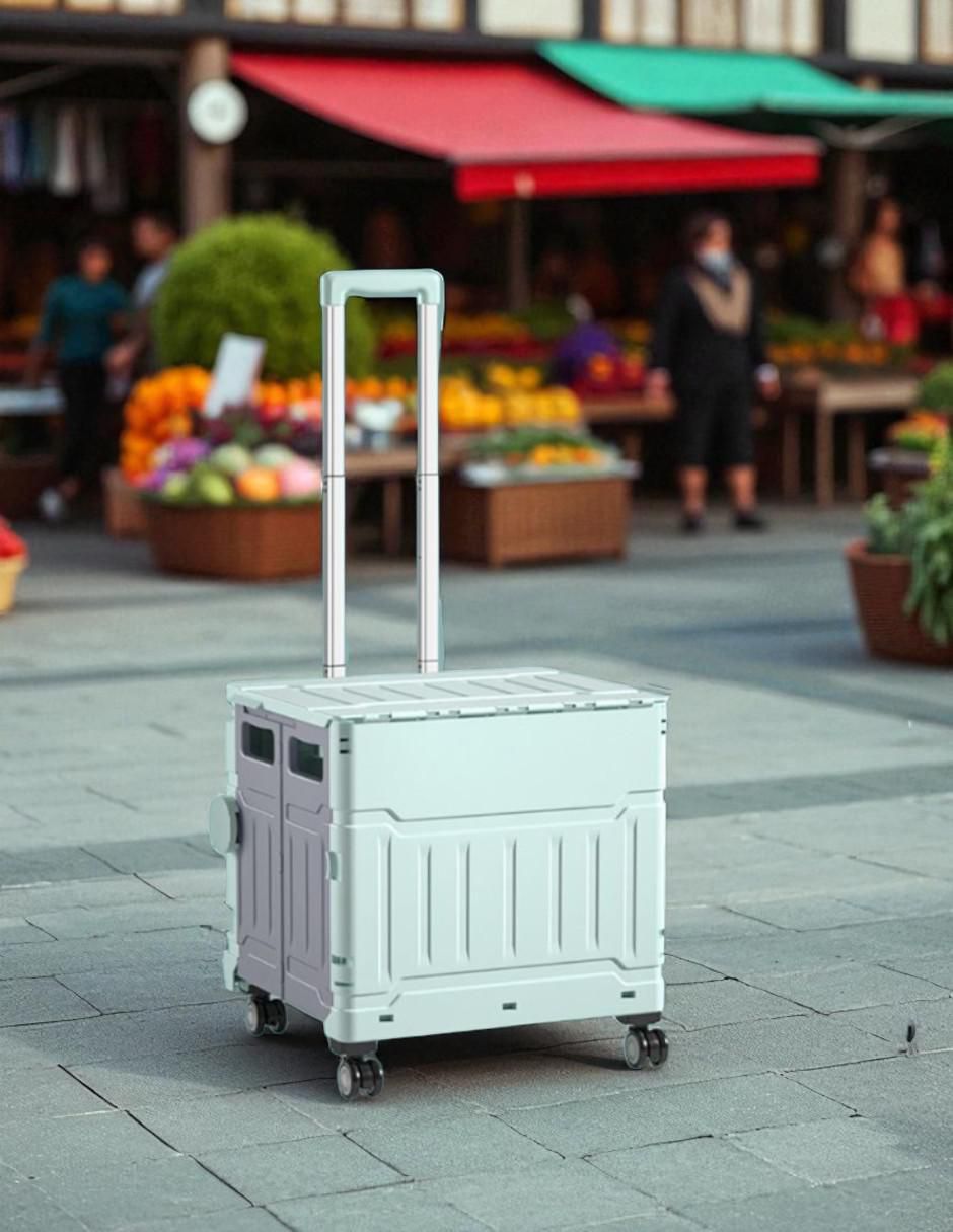Carrito vagón plegable con capacidad de 50 kg 5