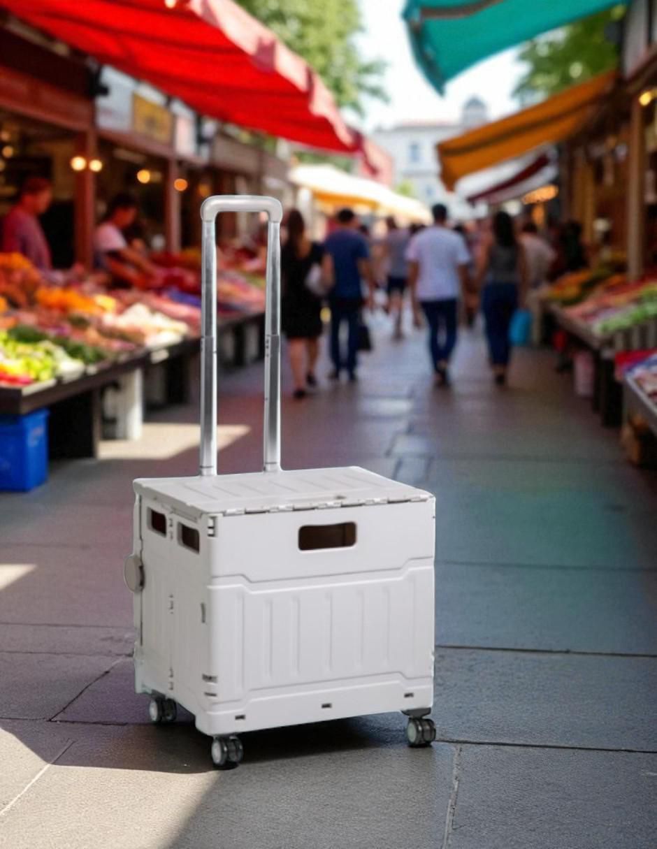Carrito vagón plegable Cm-Top con capacidad de 50 kg