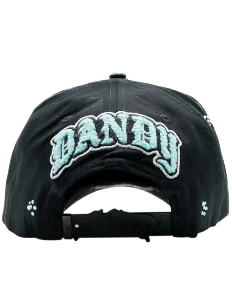 Gorra visera curva snapback casual para hombre 2