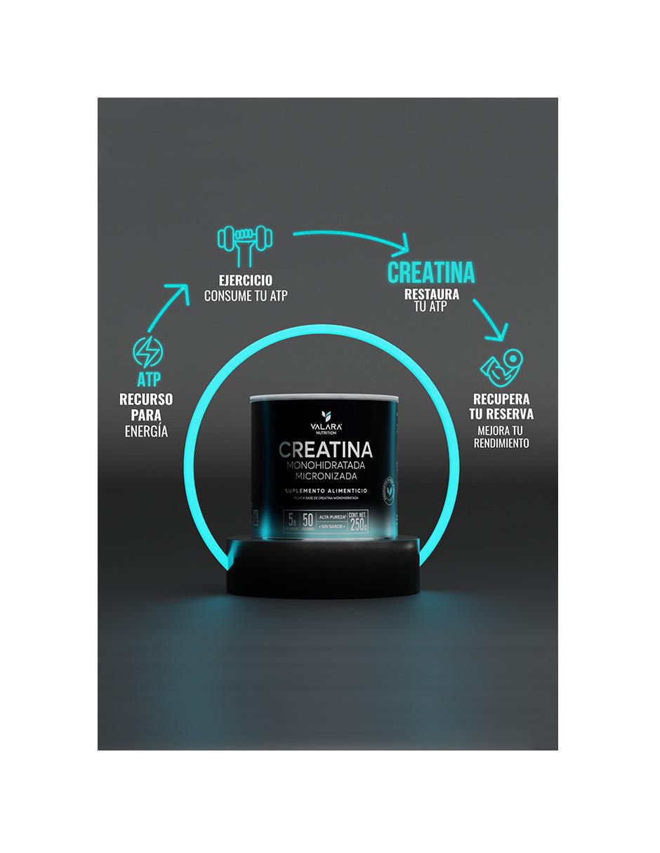 Creatina monohidratada micronizada 250 g 5