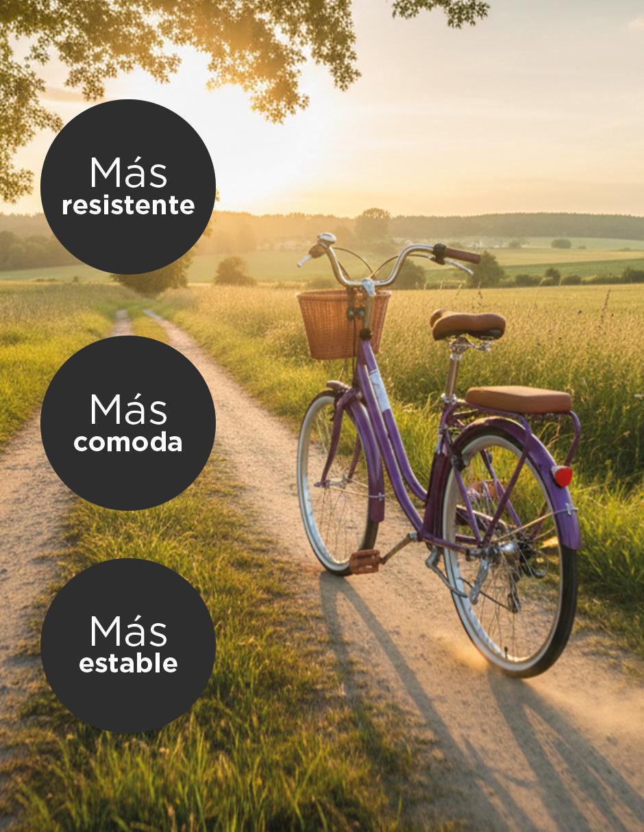 Bicicleta urbana rodada 26 para mujer 2