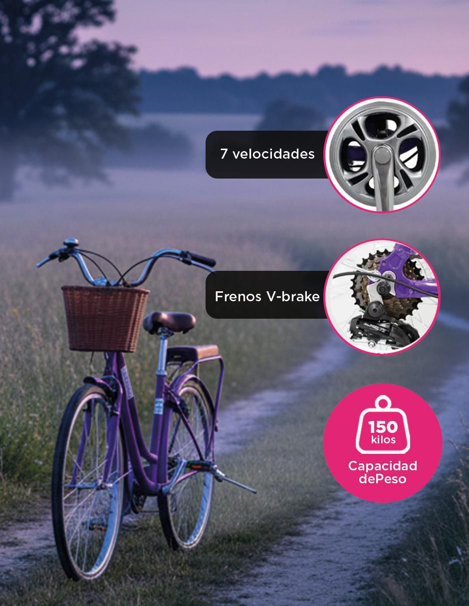 Bicicleta urbana rodada 26 para mujer 3
