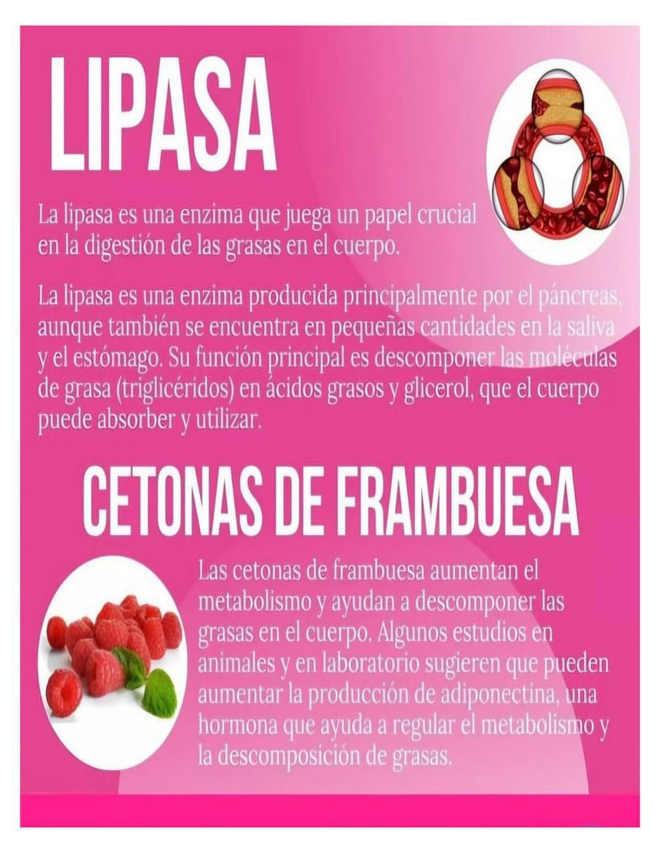 Kit de suplementos alimenticios Glúteo pept s + Lipo enzimas Na con multivitaminico de 180 cápsulas 3