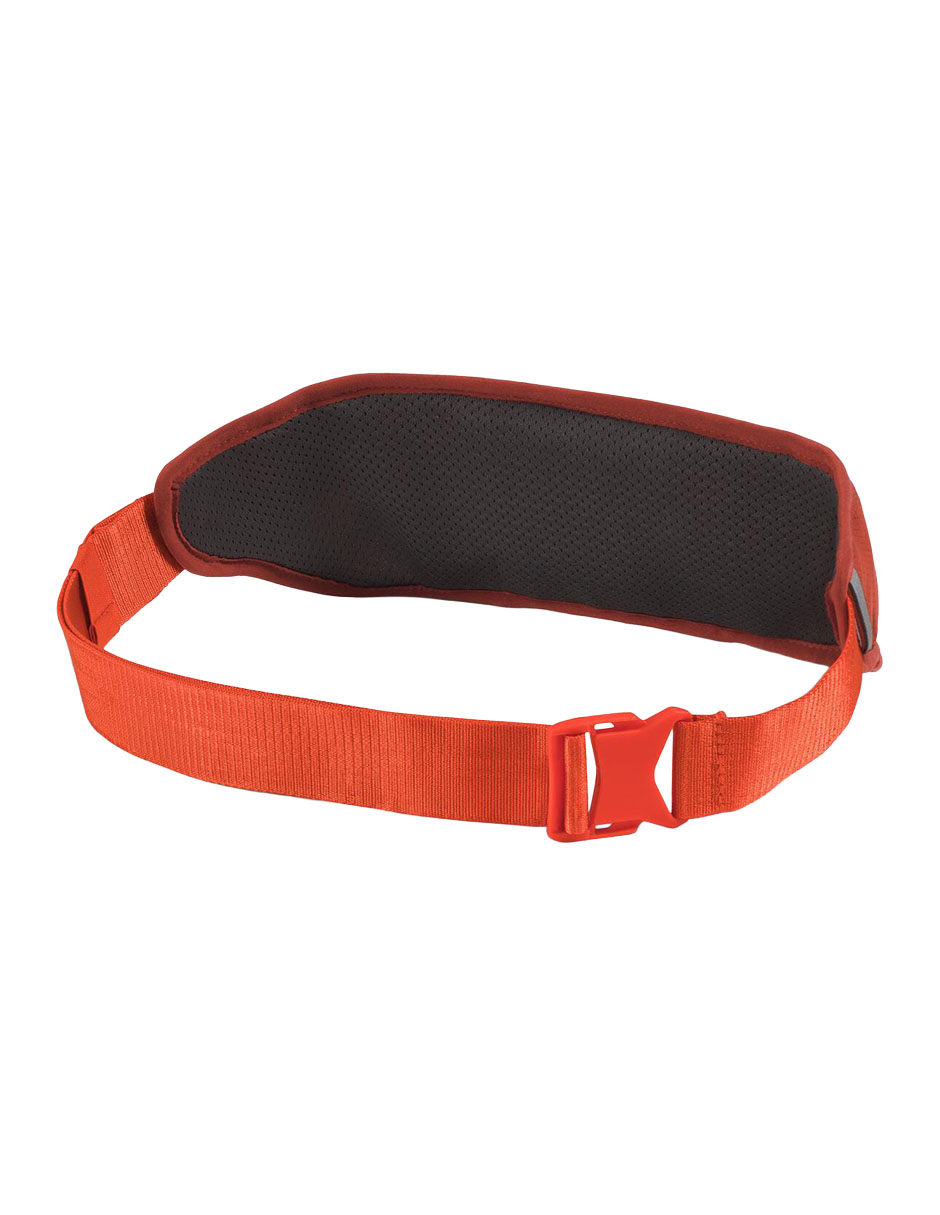 Cinturón unisex 2