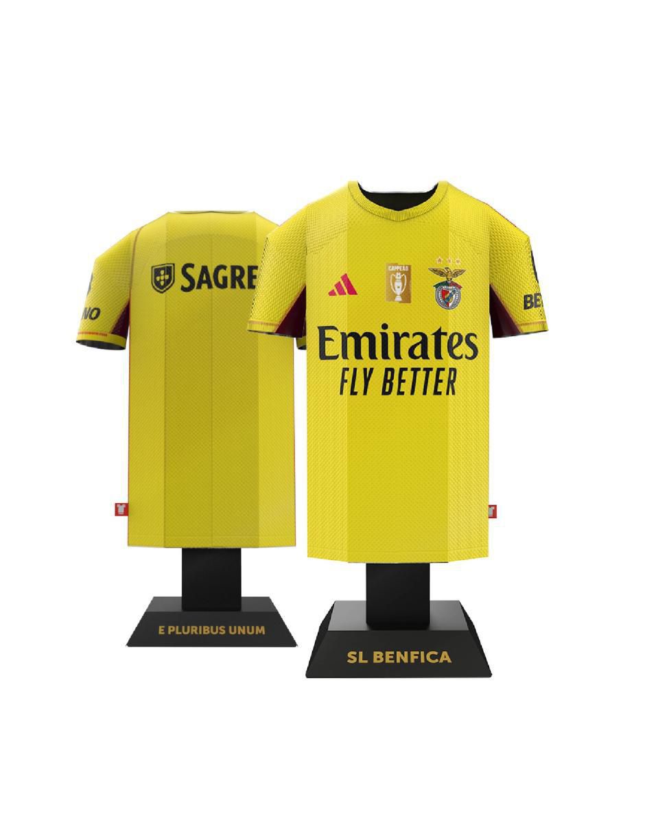 Figura S.L. Benfica portero 3