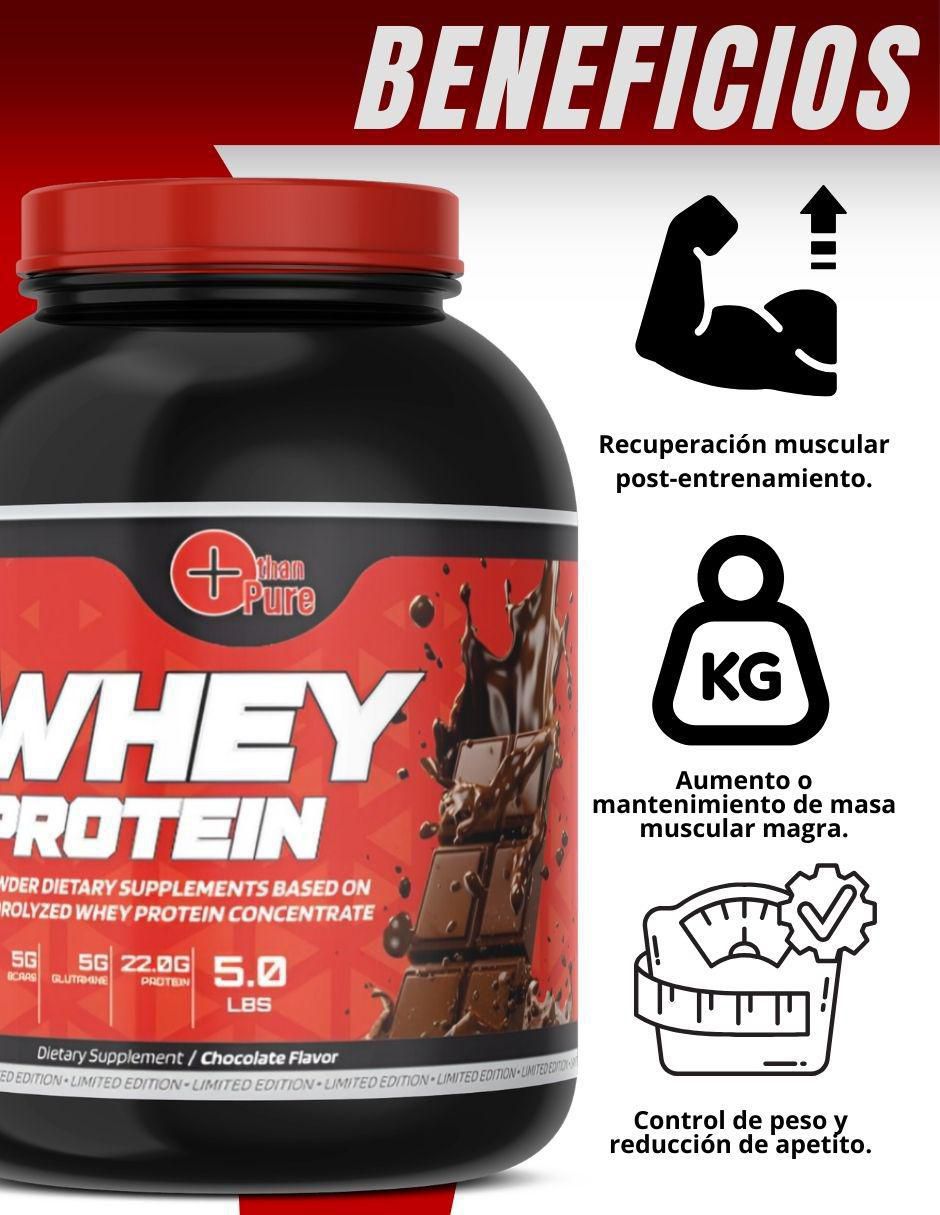 Kit de suplementos alimenticios Whey Protein + Glutamina + Creatina Monohidratada 5