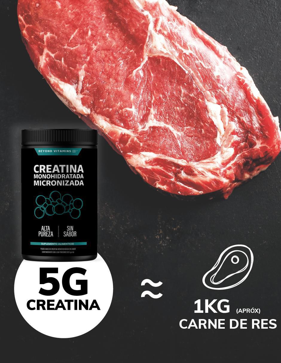 Creatina Monohidratada Micronizada de 300 g 5
