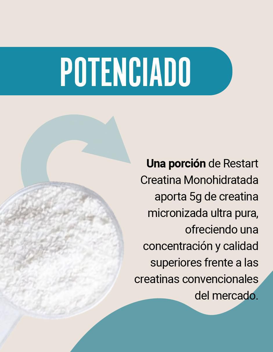 Creatina Monohidratada Micronizada de 300 g 4