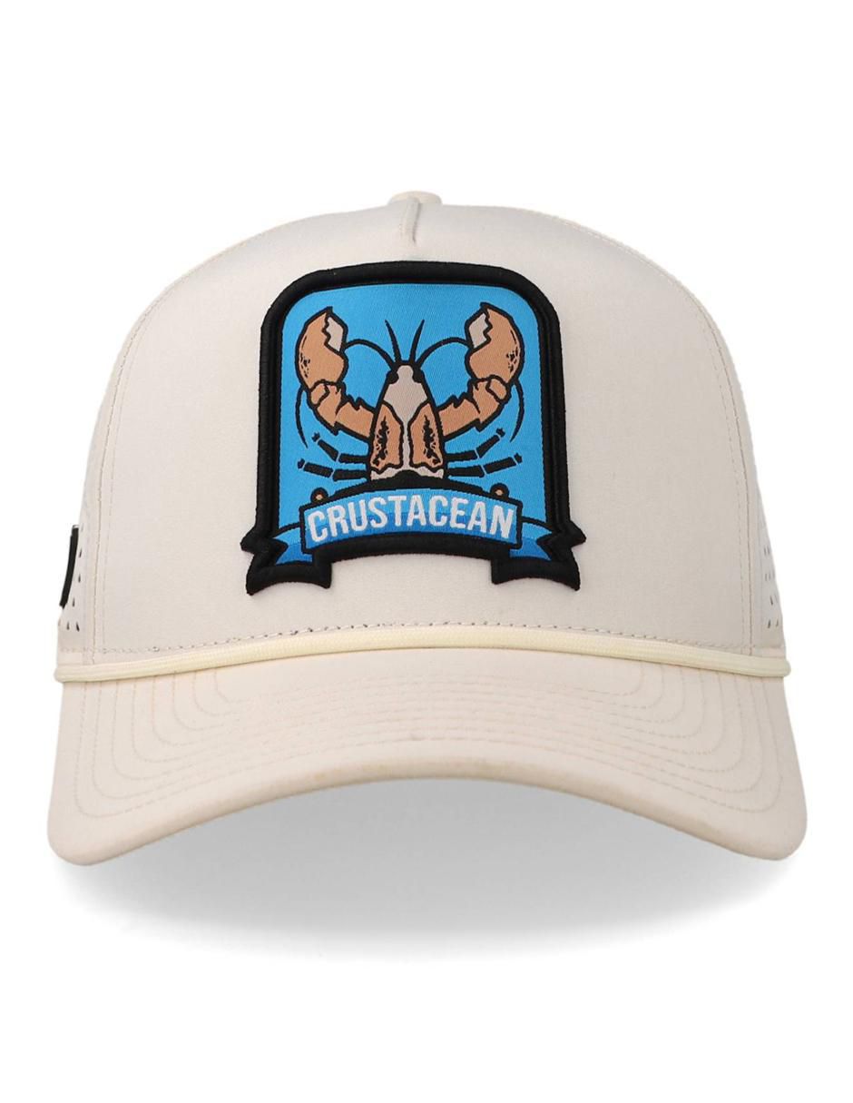 Gorra visera curva snapback unisex