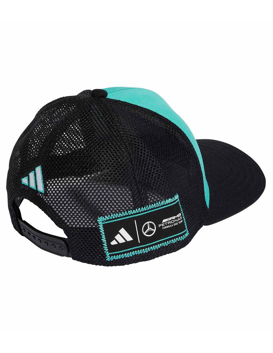 Gorra visera curva correa snackback casual DC Brackley adulto 2