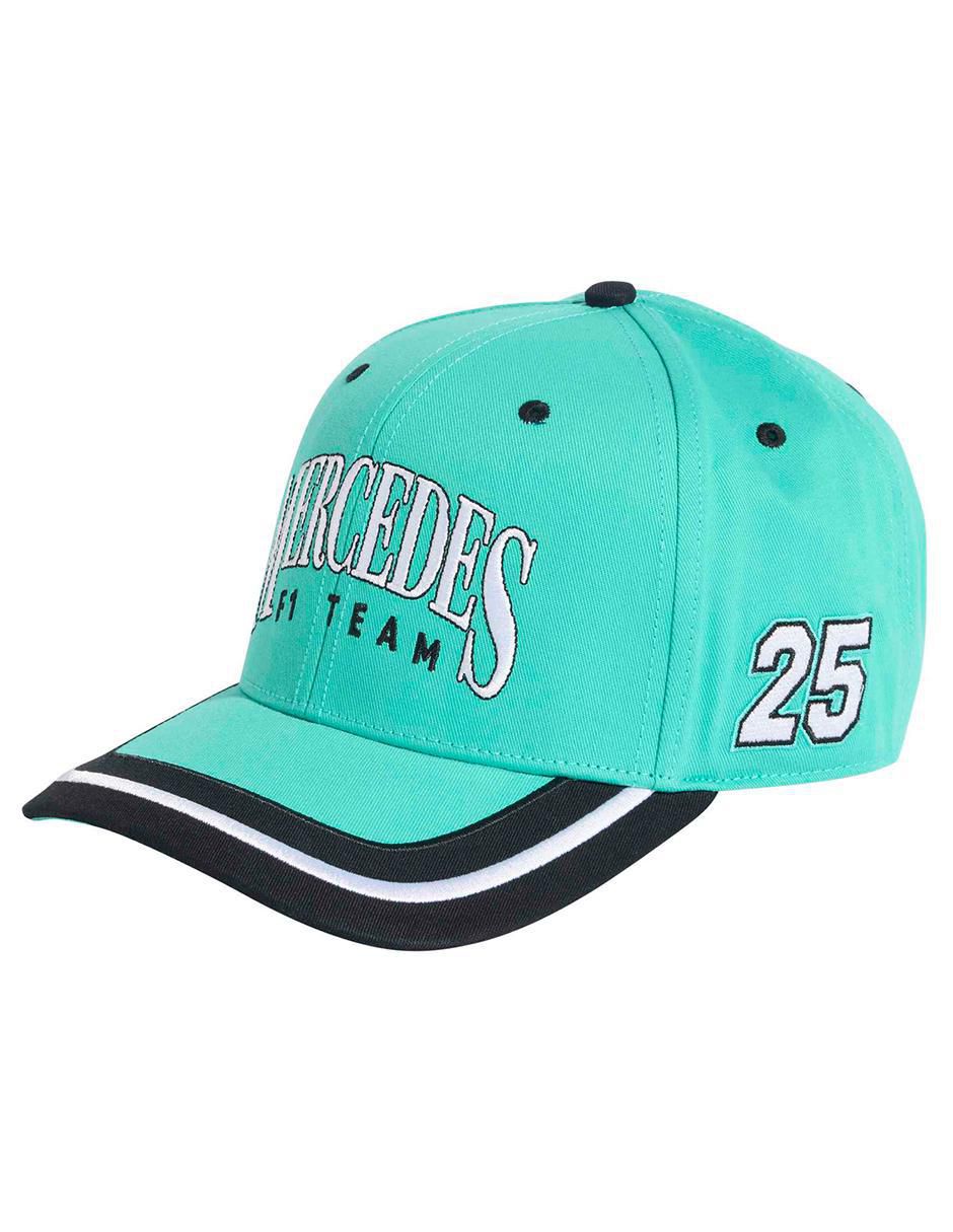 Gorra visera curva snapback casual DC Brackley adulto
